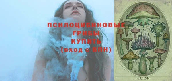 гидропоника Каменка