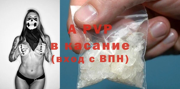 хмурый Каменногорск