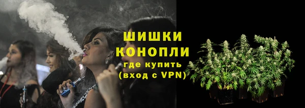 хмурый Каменногорск