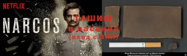 хмурый Каменногорск