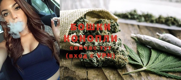 гидропоника Каменка