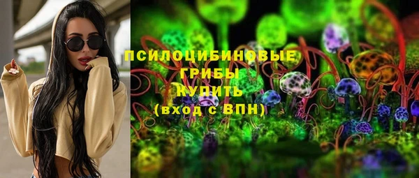 дмт Каменск-Шахтинский
