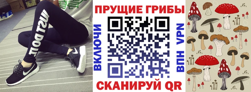 Купить где  Богданович  Галлюциногенные грибы ЛСД 